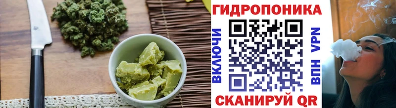 Купить закладки  Вытегра  Еда ТГК конопля 