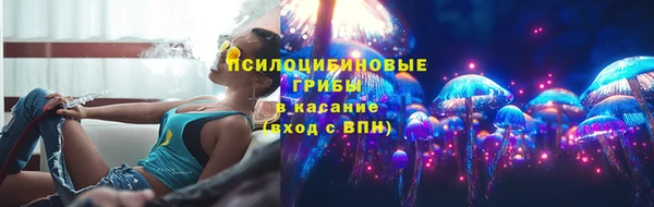 гидра Алексин
