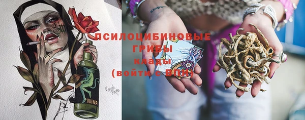 гидра Алексин