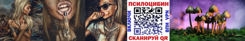 Купить закладки  Вытегра  Галлюциногенные грибы MAGIC MUSHROOMS 